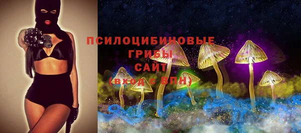 a pvp Карпинск