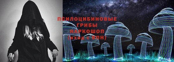 a pvp Каменка