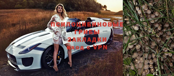 a pvp Карпинск