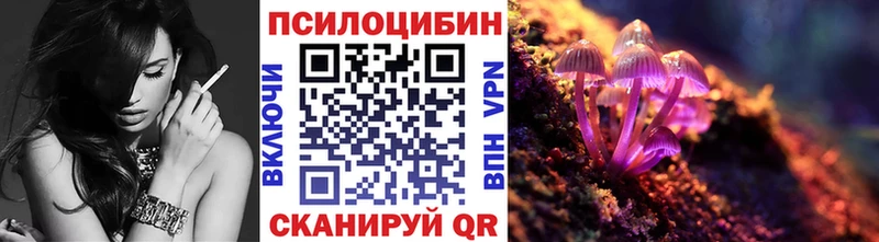 Псилоцибиновые грибы Cubensis  Раменское 