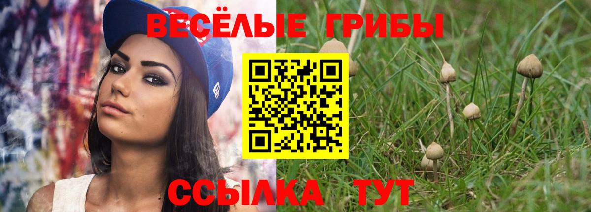 Галлюциногенные грибы MAGIC MUSHROOMS Раменское